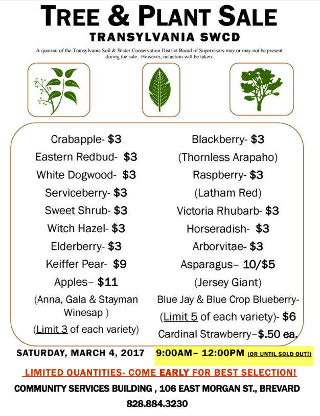 plant sale