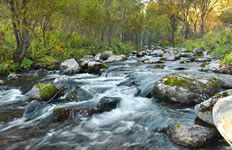 soil and water