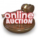 Transylvania County Auction