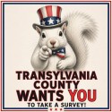 TC Survey